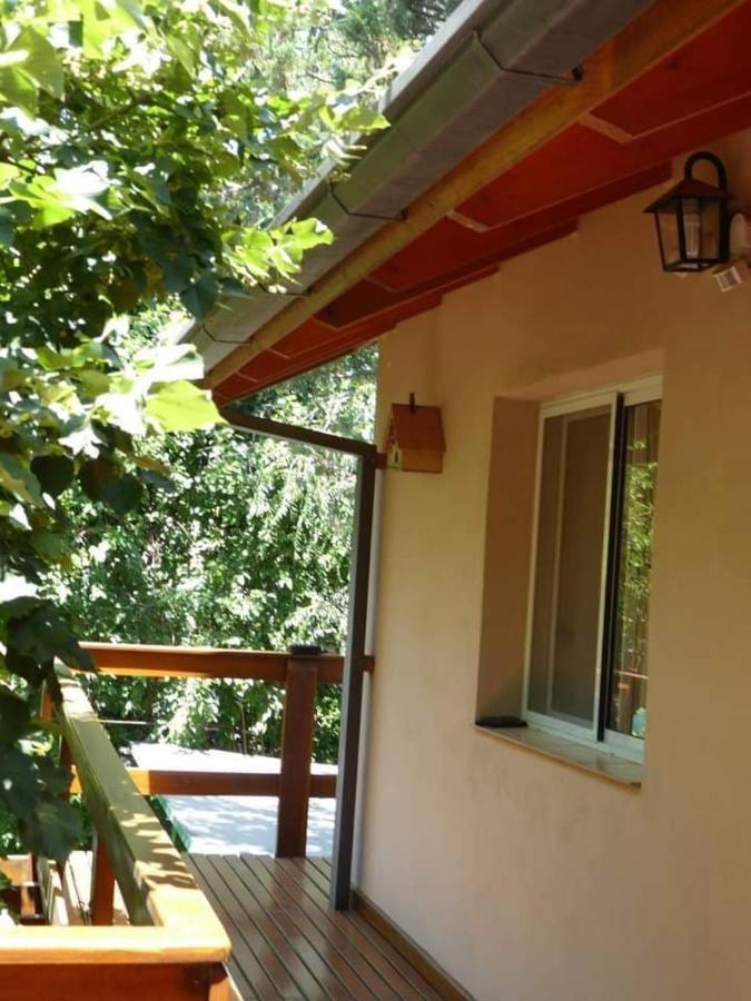 Inn Lo De La Omi *